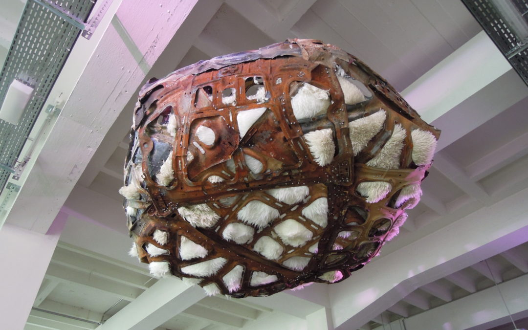 Asteroid I Love You 2014 _ Cercle des Bains