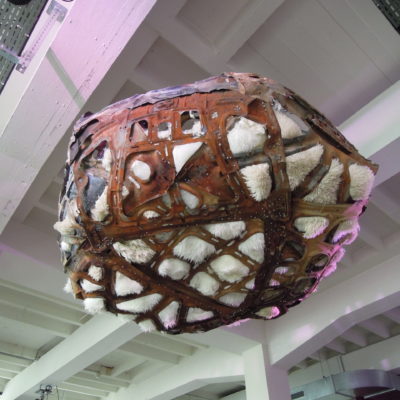 Asteroid I Love You 2014 _ Cercle des Bains